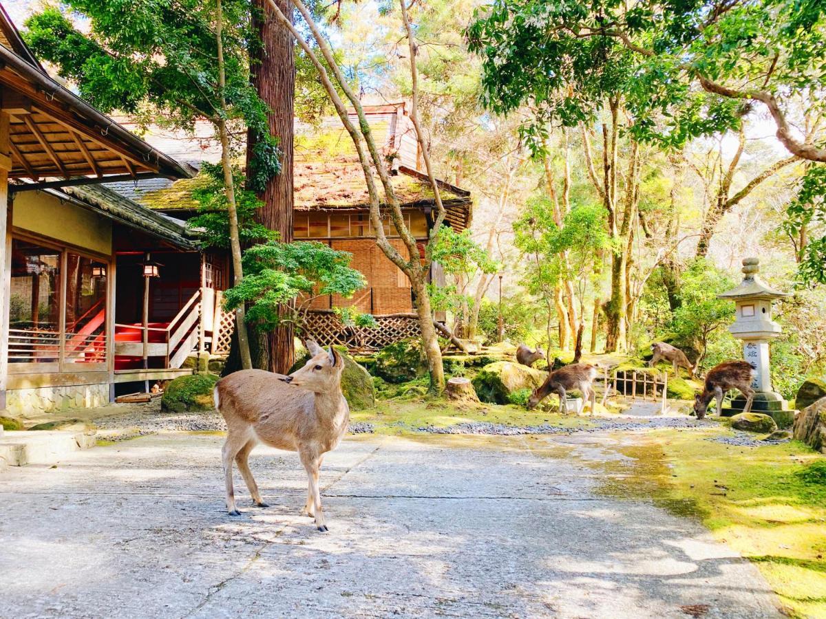 สึกิฮิเต Hotel นารา ภายนอก รูปภาพ